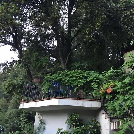 Alojamento de Acomodação e Pequeno-almoço Selu