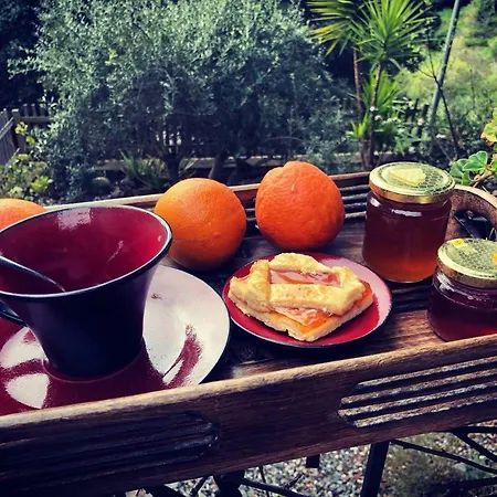 Frühstückspension Selu