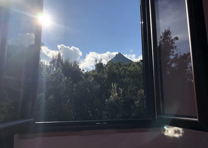 Selu Oda ve Kahvaltı