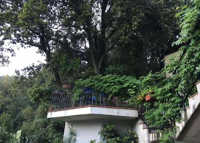 Oda ve Kahvaltı Selu